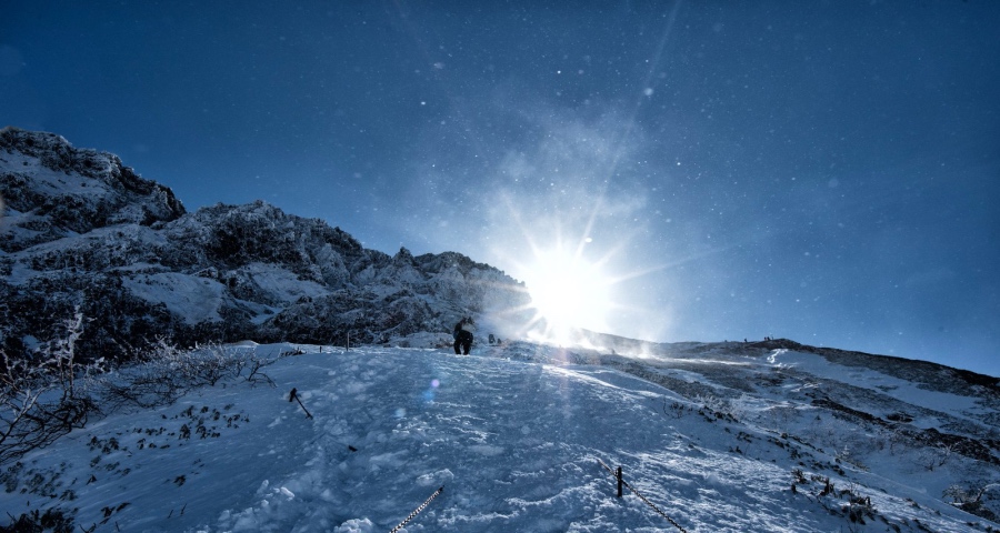 家电厂商们到底如何赢得用户芳心-家电圈官网