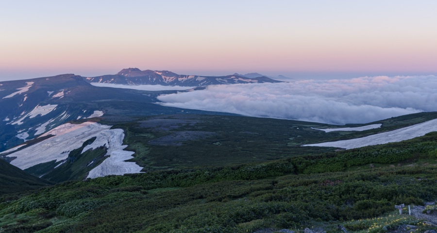 虎年家电市场开局的三大猜想-家电圈官网