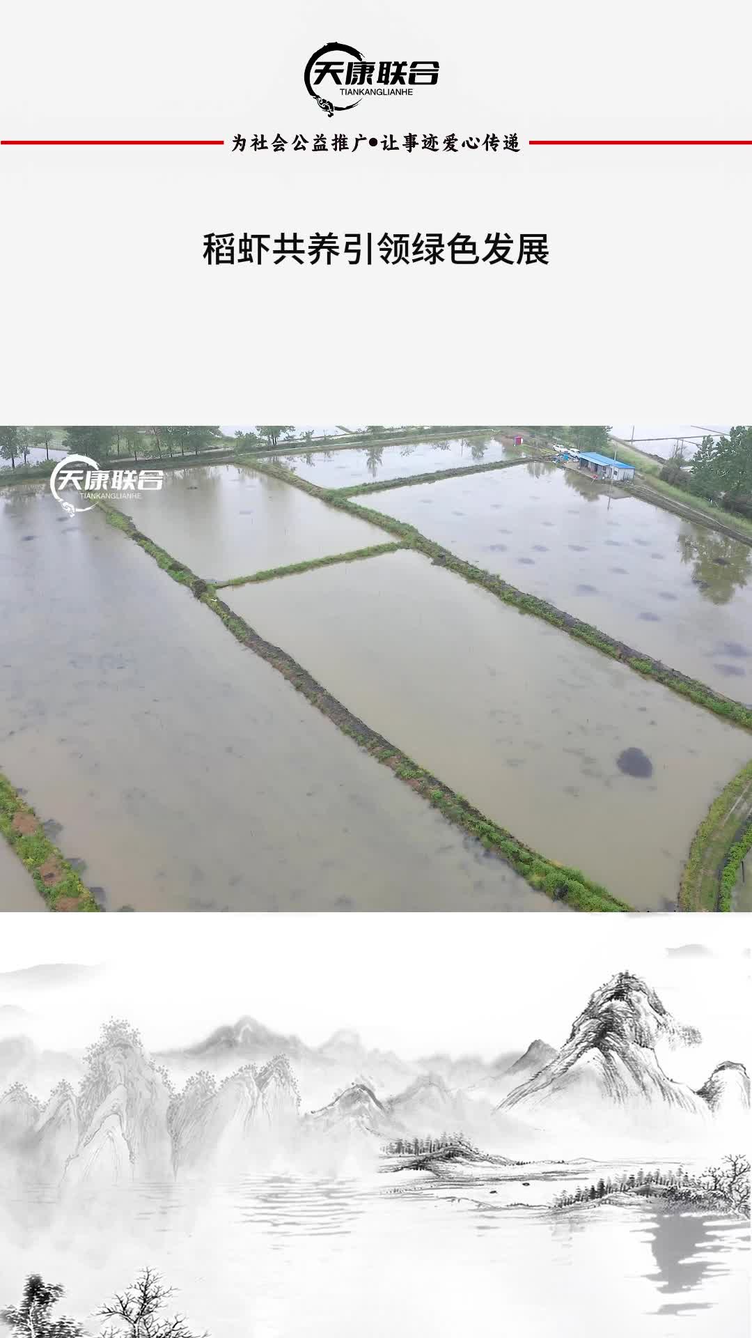 天康联合：孔凡凤家庭农场，稻虾共养引领绿色发展