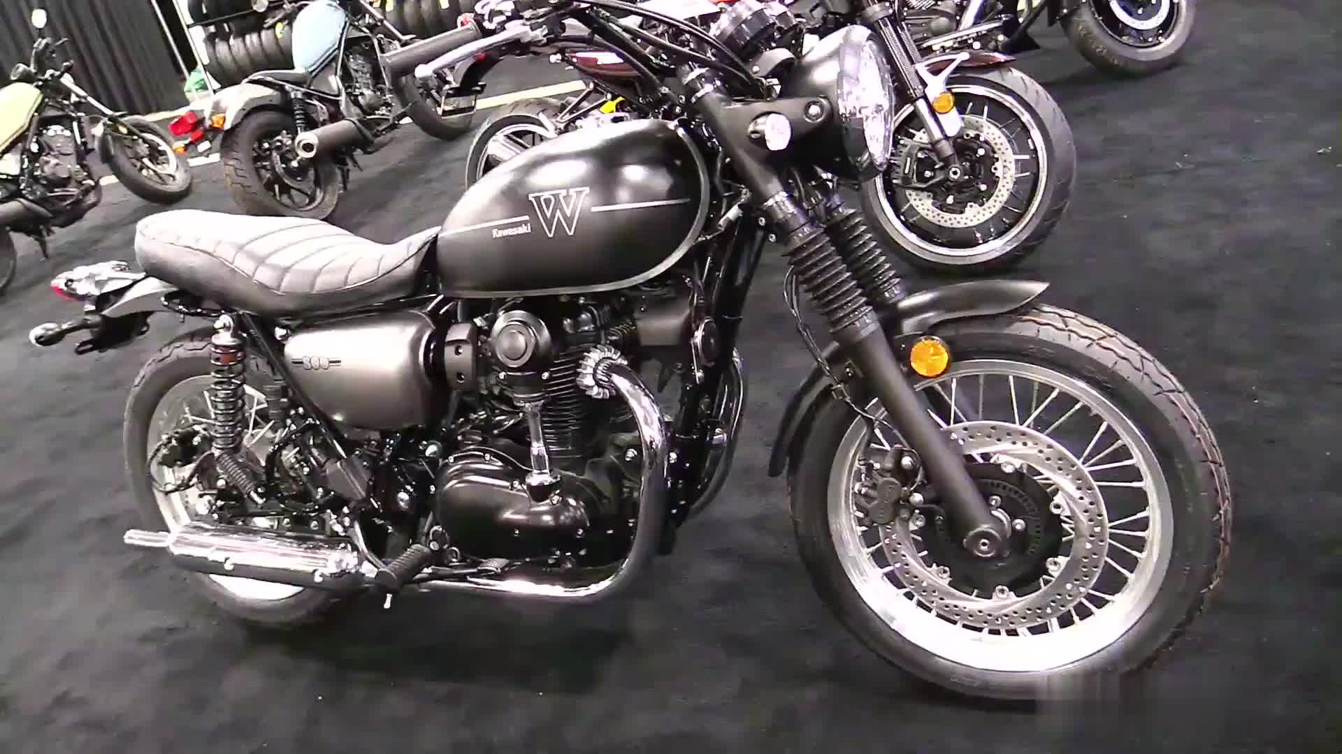 2019款 川崎 w800 经典街车