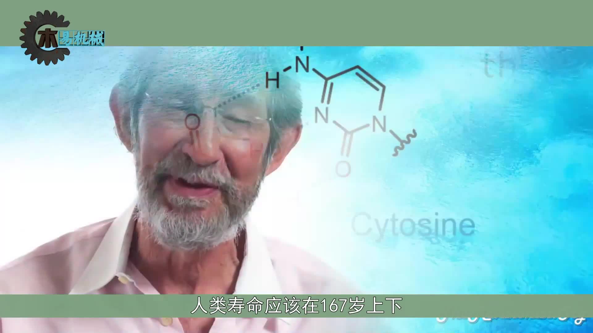 理论上人类能活1000岁剩下的900多岁为何消失了