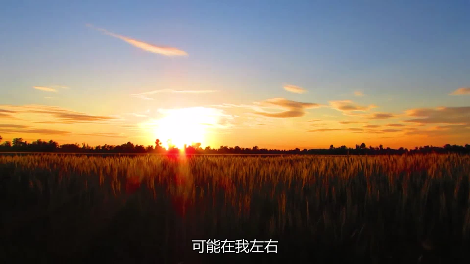 这首歌曲比较古老《王菲-红豆》,旋律非常的动容