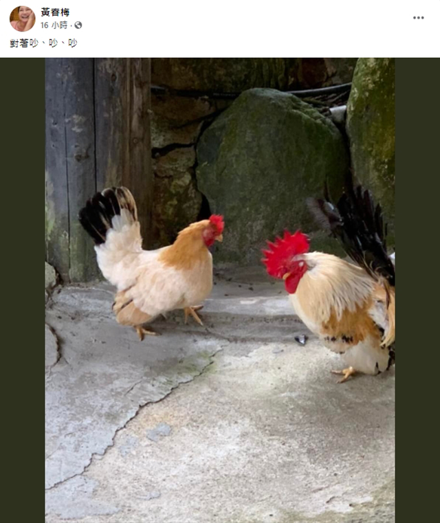 大S再婚先斩后奏，妈妈气炸扬言不见新女婿，<a href=