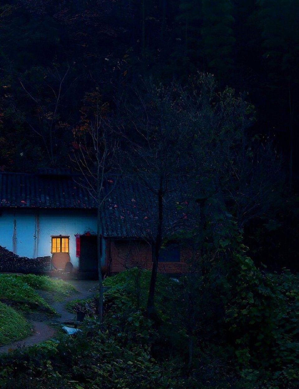 春天的夜晚,如梦一般__财经头条