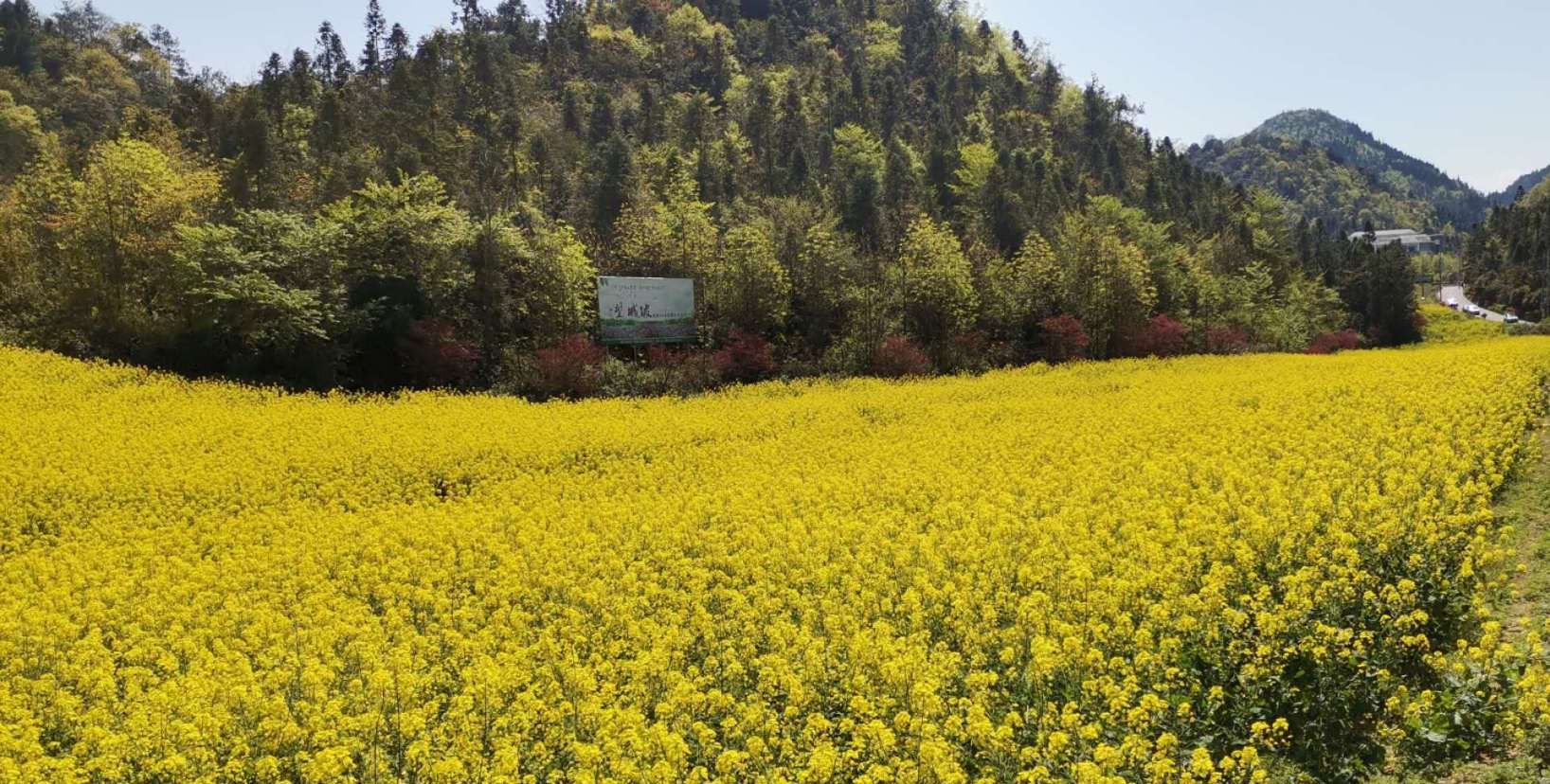 永川望城坡图片