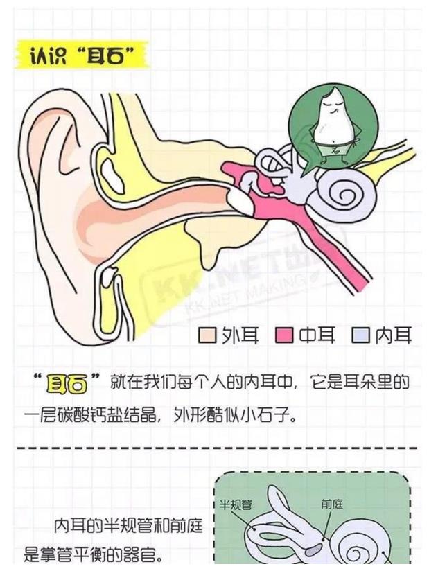 王俊凯被诊断疑患耳石症娱乐圈哪些明星得过该病