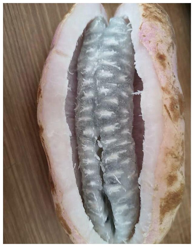 生长在深山的水果"狗腰子",口感嫩滑,没吃过的还以为是香蕉