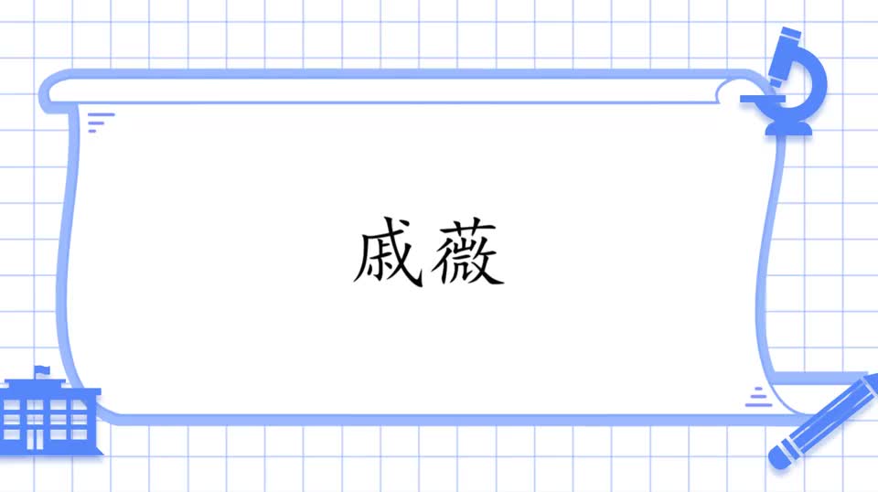 谢娜用四川话新闻联播，林青霞：这个好这个好！明星讲四川话合集