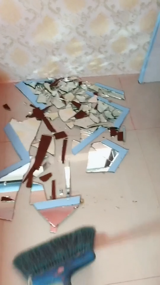 哈士奇捣蛋打碎镜子竟想出这招避祸气得宠主大骂怂货