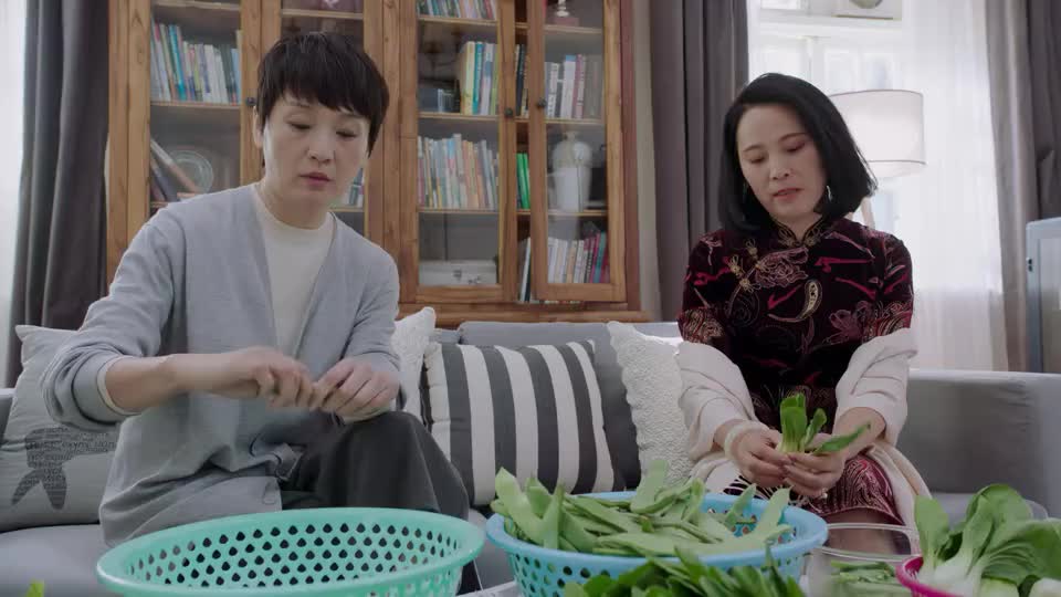 佟年妈妈看不上韩商言觉得他为认不靠谱担心佟年被骗