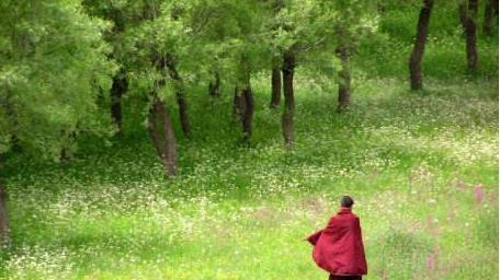 这首禅诗,简单直白却直抵人心,心累的时候读读吧!休闲区蓝鸢梦想 - Www.slyday.coM 这首禅诗,简单直白却直抵人心,心累的时候读读吧!休闲区蓝鸢梦想 - Www.slyday.coM