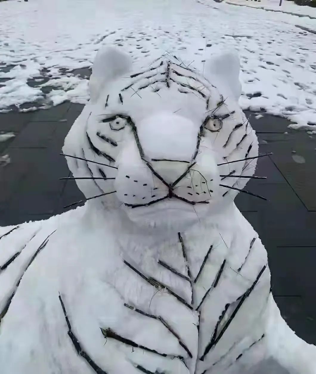 20220222昆明最美雪景售楼部最牛雪人