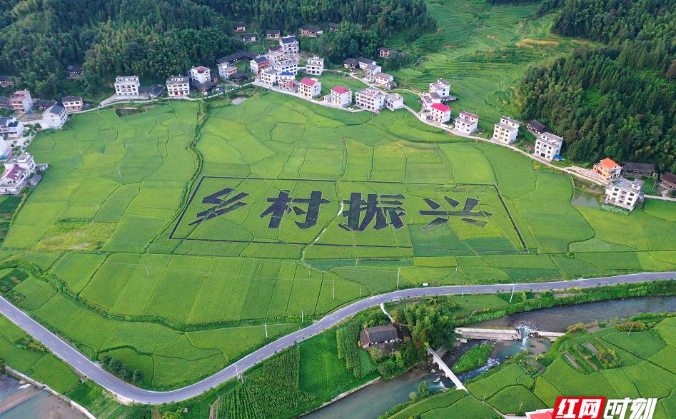 新化县水车镇锡溪村图片