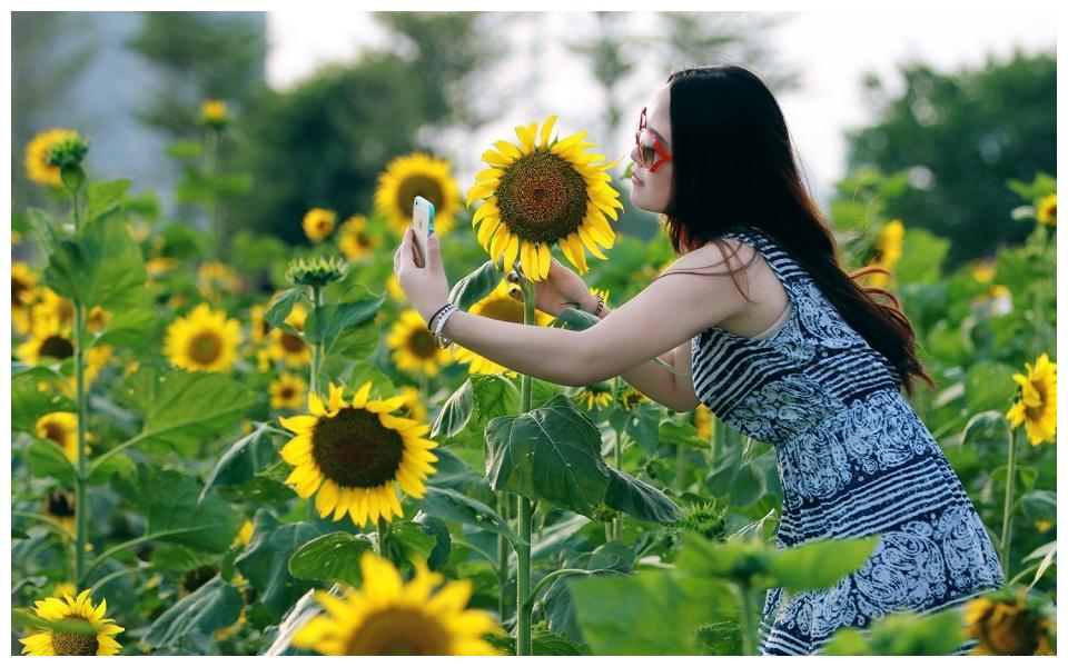 向日葵花田人像拍照指南,简单不做作9个拍照姿势,请收好