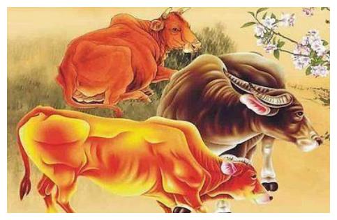 属牛人2021年运势,生肖牛3大喜事降临,属牛人看看什么喜?