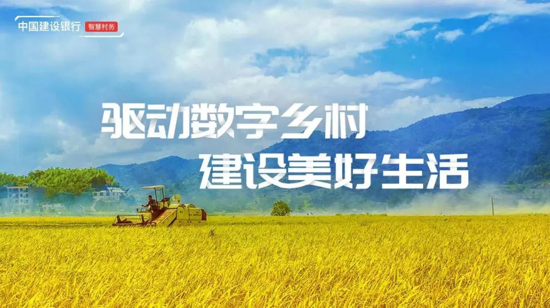 打造新金融服务三农"上海模式",走好超大城市乡村振兴之路