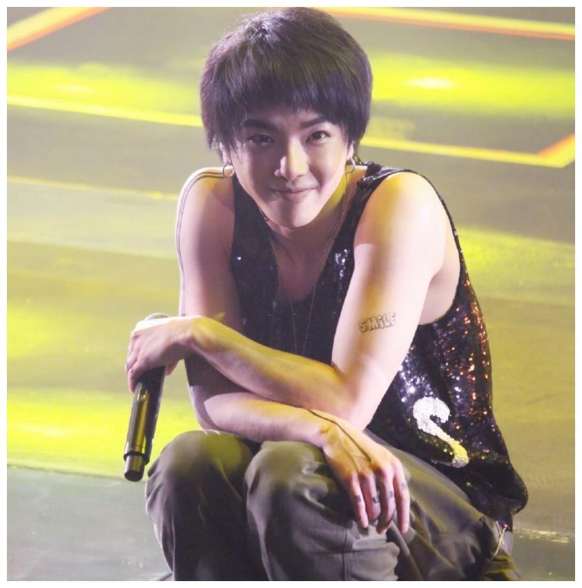 明星纹身大曝光,华晨宇的简单,范丞丞有8处,胡歌让人很感动!