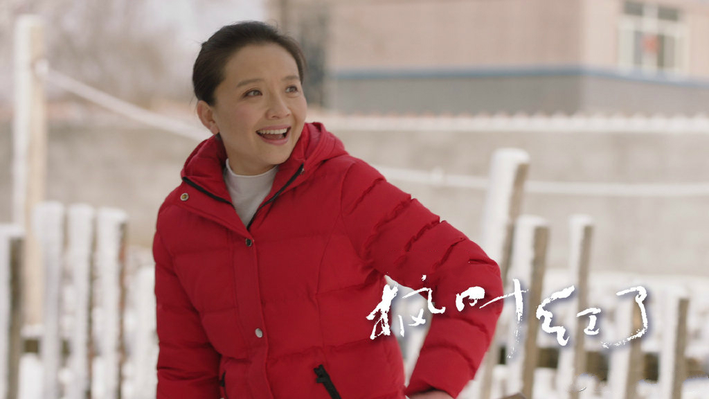 枫叶红了央一首播剧情跌宕冲突激烈最真实的农村剧