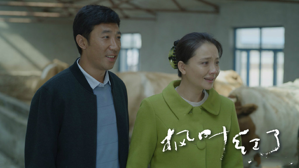 枫叶红了央一首播剧情跌宕冲突激烈最真实的农村剧