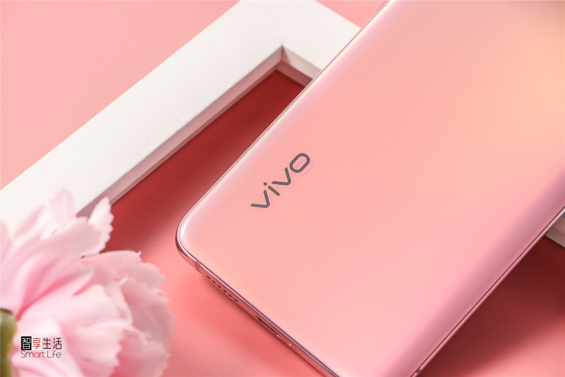 要看完vivox50系列全家福图赏