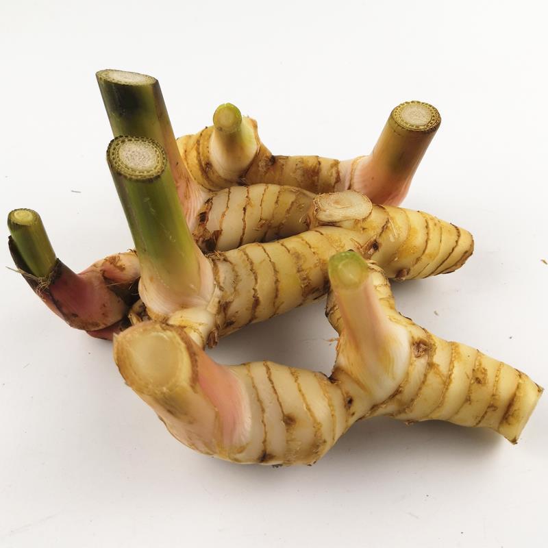 粤丰南姜来谈谈南姜和生姜的区别__财经头条