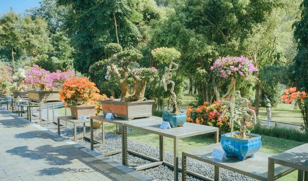 最壕花展来了占地20万平方米地铁3号线与你有个约会