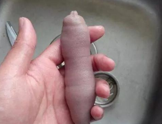 家吃饭,她说她家很穷,吃完我说:我也想穷|表妹|鲍鱼|吃饭_新浪新闻