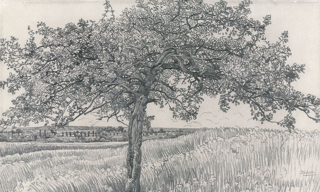 20张画树木的世界名画,关于画树枝的世界名作,树的画法美术作品