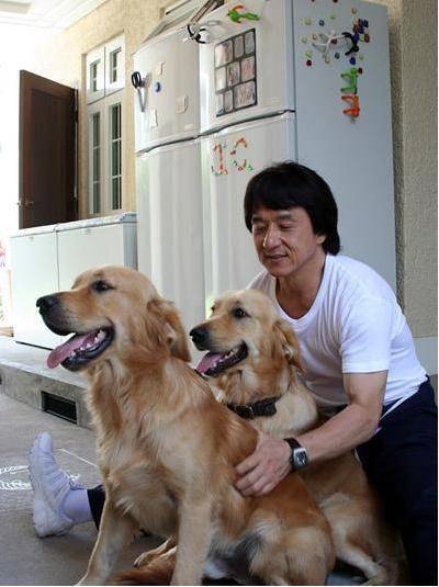 来看一看,明星都养的什么狗,和你家的狗子有同款的吗?__财经头条