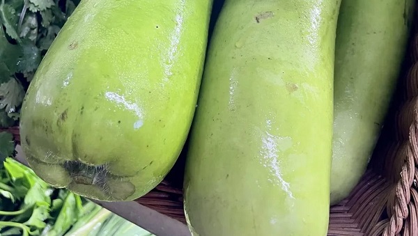 疫情下的餐饮 大户人家 高山食材到城市餐桌 模式能走多远 新冠肺炎 新浪新闻