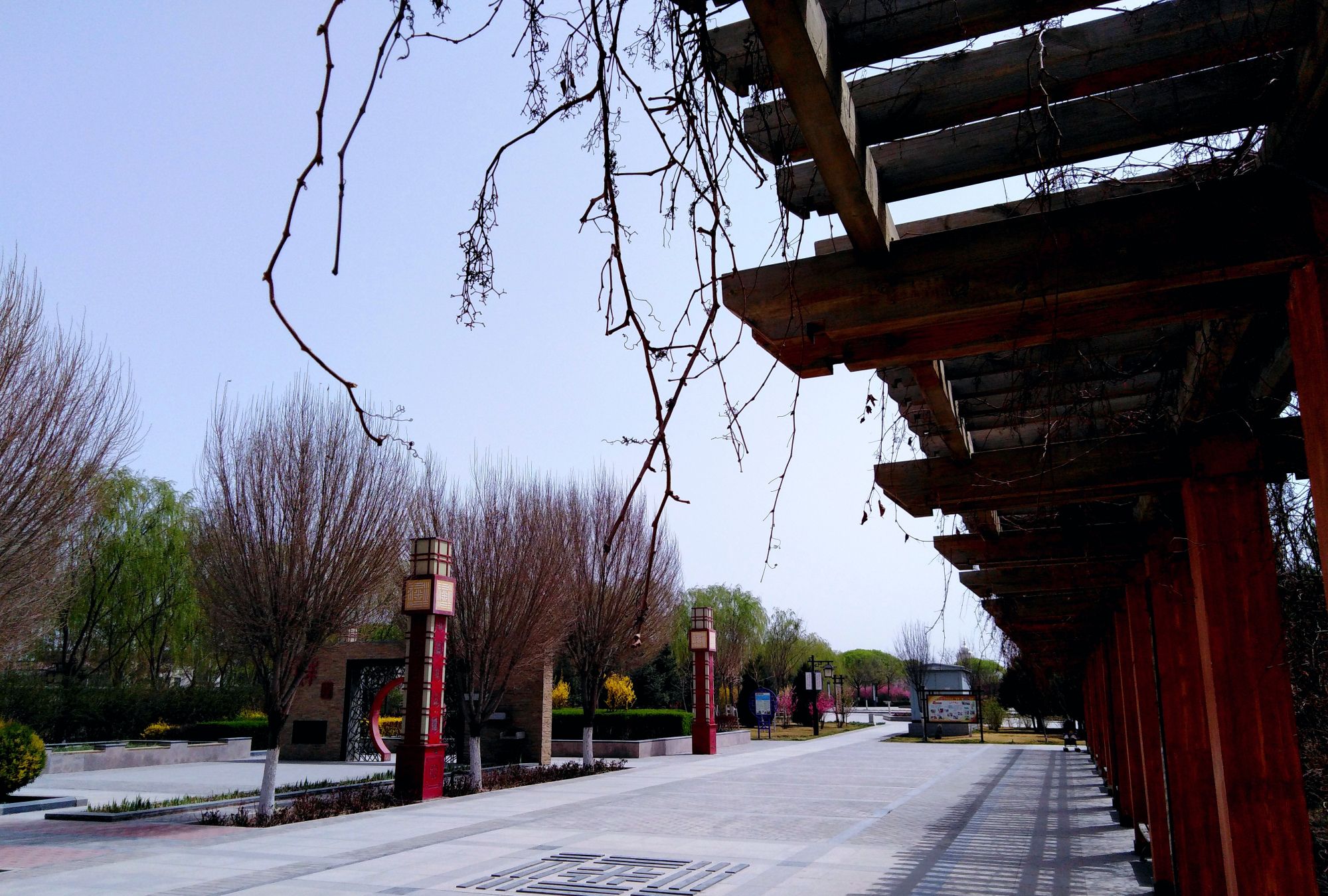 甘肃金昌丨西坡广厦绿化带