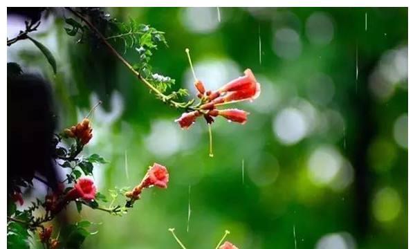 梅雨季节为什么叫梅雨季节 梅雨季节是什么意思由来成因介绍