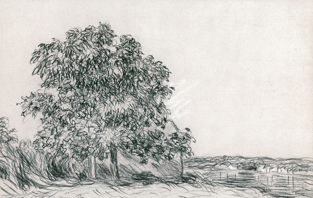 20张画树木的世界名画,关于画树枝的世界名作,树的画法美术作品