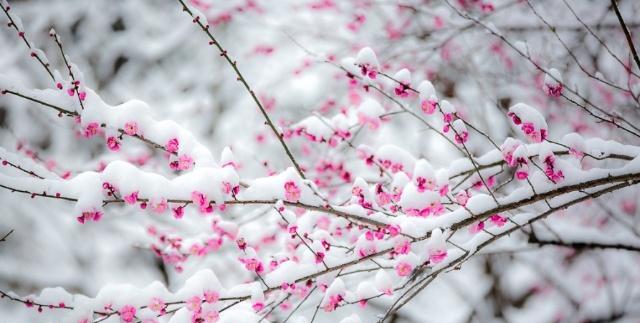 在大雪纷飞的季节里这五首诗词美得令人窒息