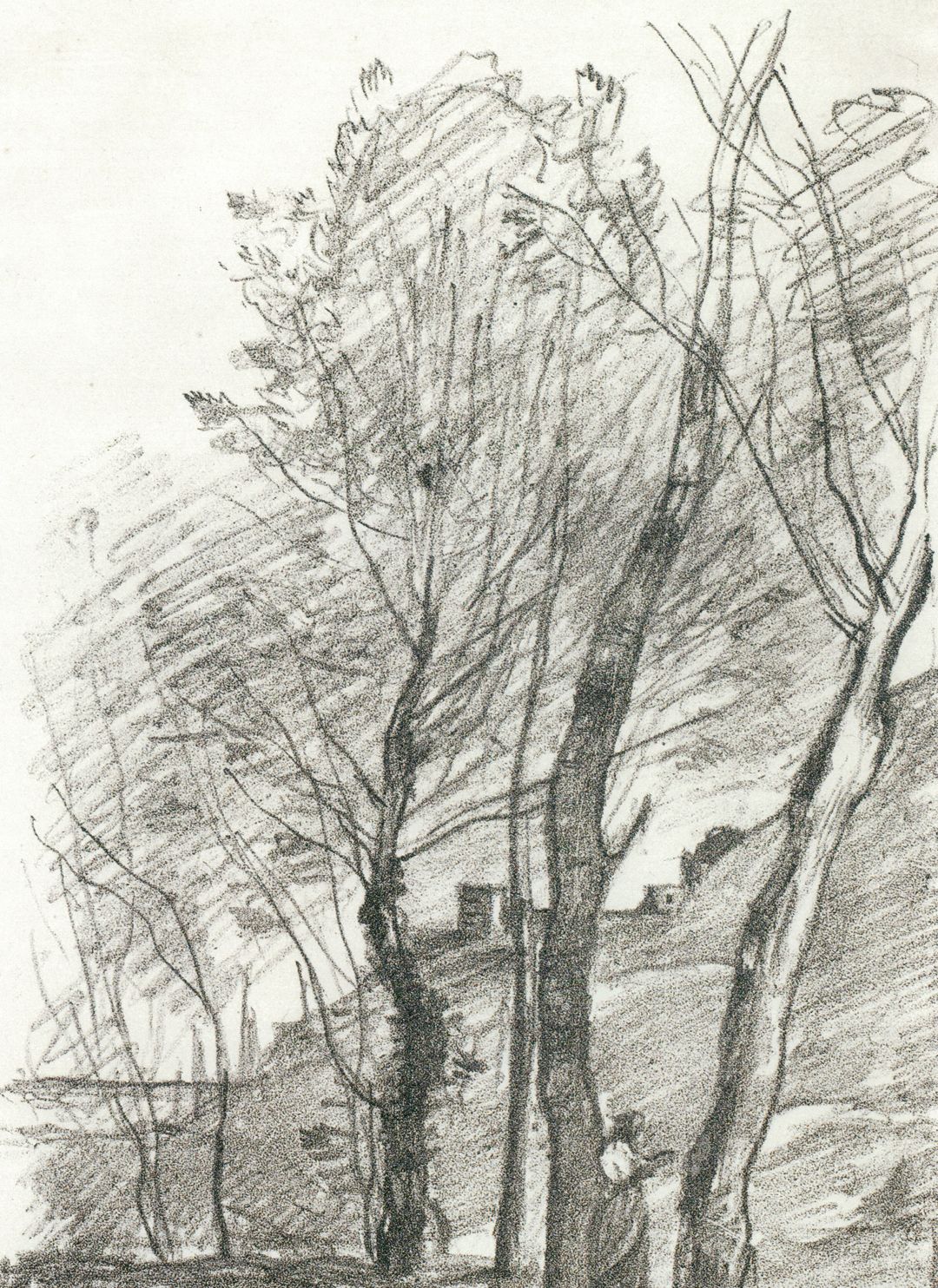 20张画树木的世界名画,关于画树枝的世界名作,树的画法美术作品