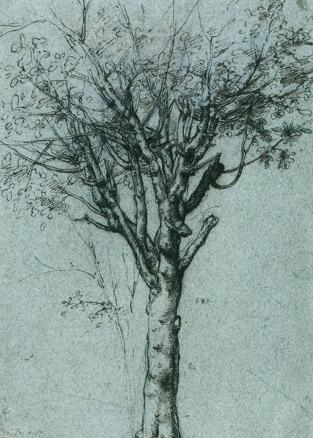 20张画树木的世界名画,关于画树枝的世界名作,树的画法美术作品