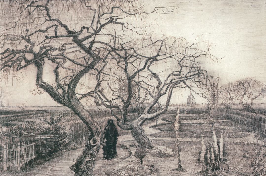 20张画树木的世界名画,关于画树枝的世界名作,树的画法美术作品