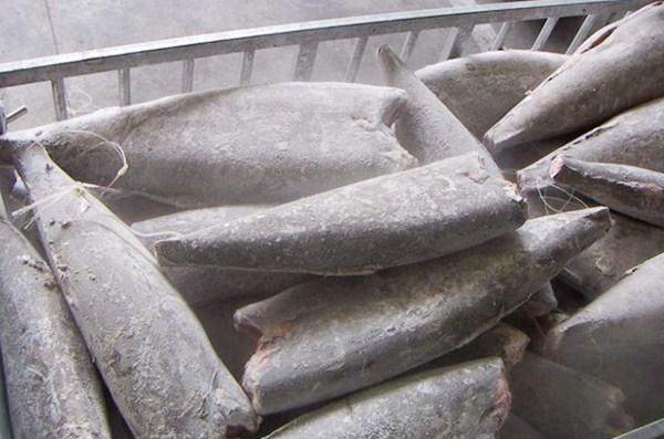 冰箱拿出来的冻鱼,万万不要用水泡,教你一招,鱼解