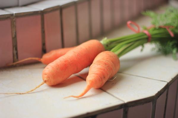 常吃萝卜对人体都有什么好处吃萝卜有哪些食用禁忌图