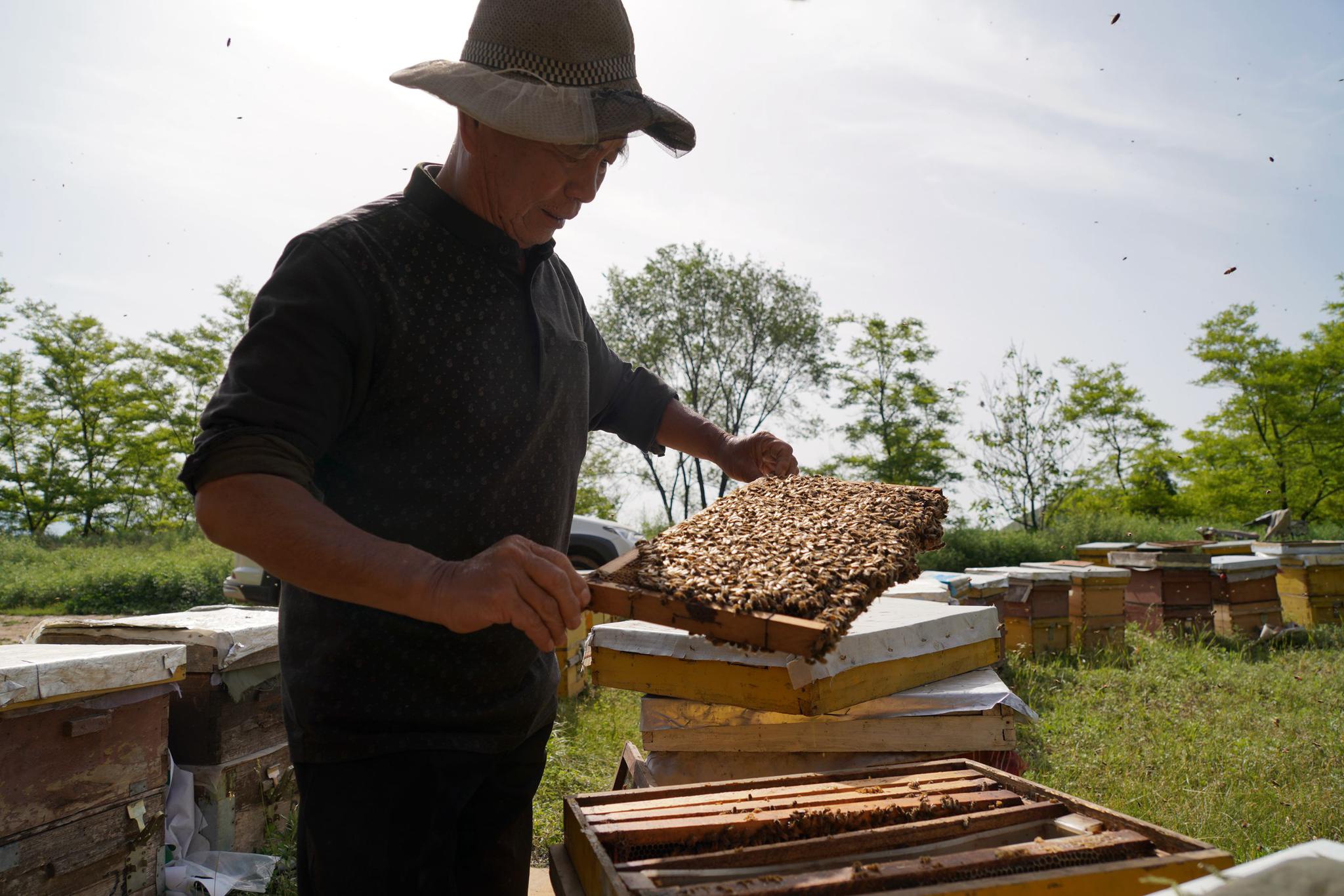 65岁农民大叔山中卖蜂蜜6斤要价50元最后却付了80块啥情况