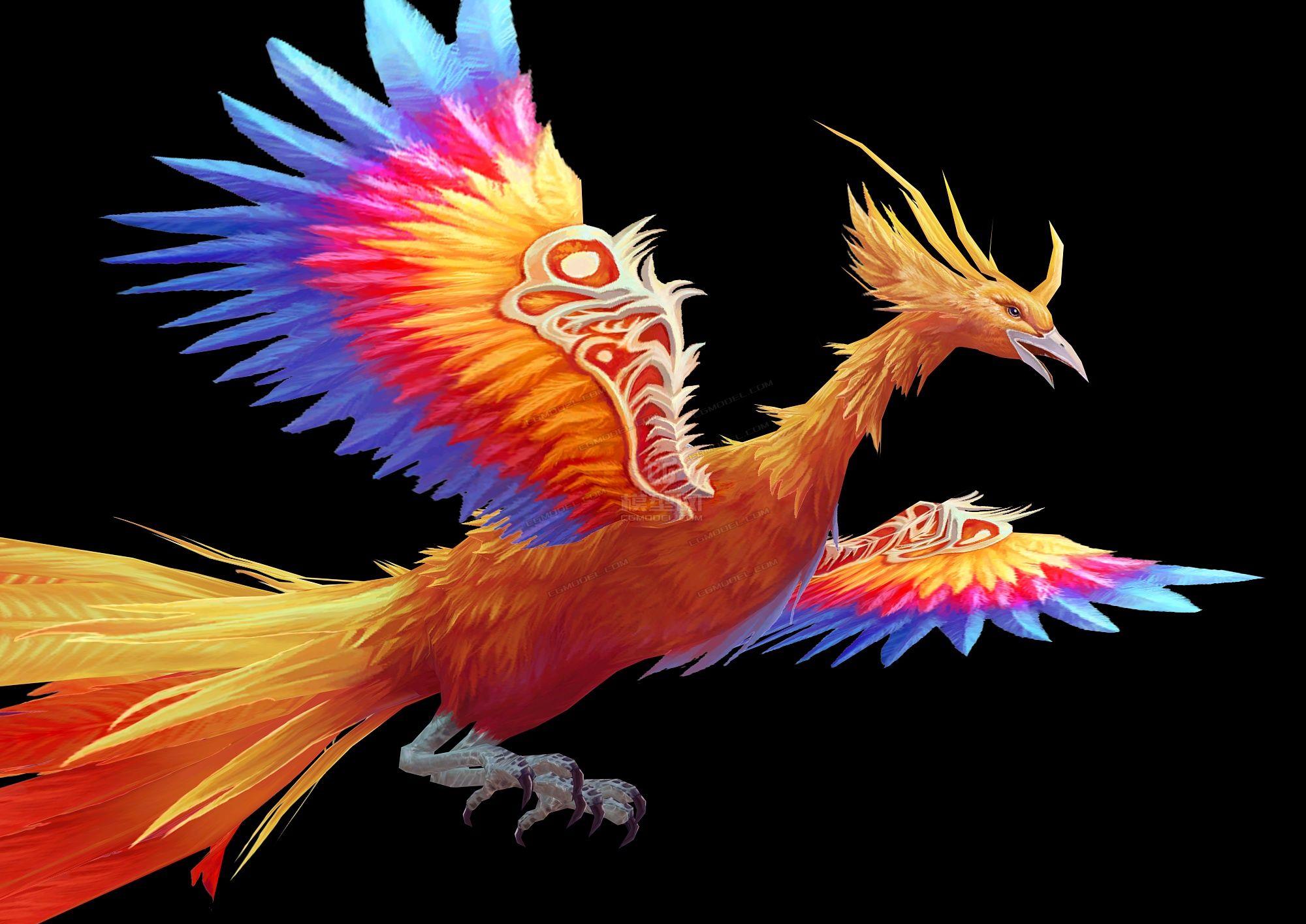 凤凰存在吗这种生物在地球活了600万年长得倒像凤凰