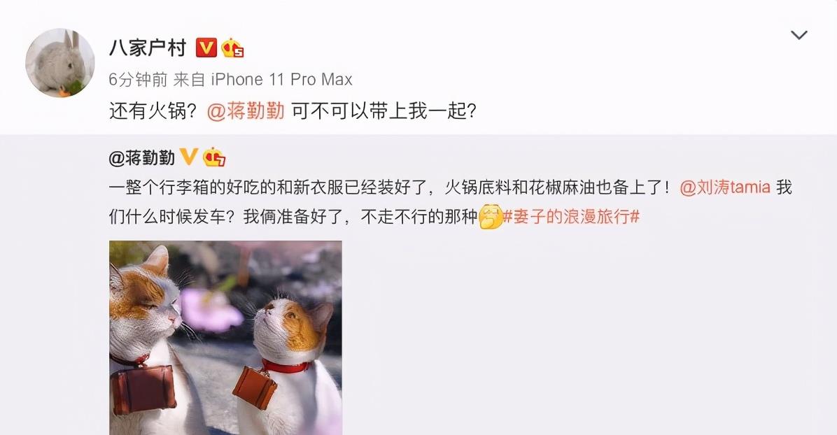 《妻子的浪漫旅行5》定档，林峯张馨月土味情话好甜！休闲区蓝鸢梦想 - Www.slyday.coM