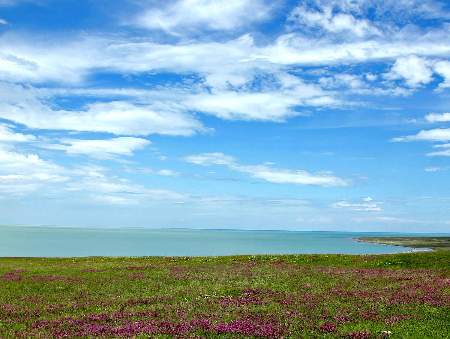 川西甘南和青海湖高原天空下的草原佛寺与湖泊下