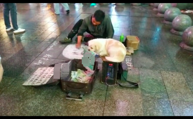 长沙一乞丐虐待狗，让它叼二维码博同情？周围商贩保安却说他很好