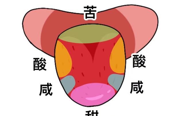 食性