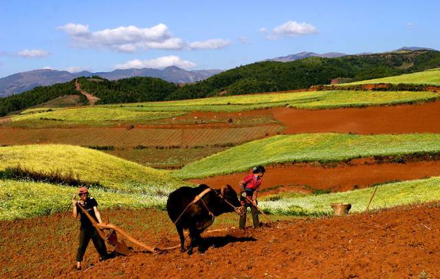 首批建设用地移交