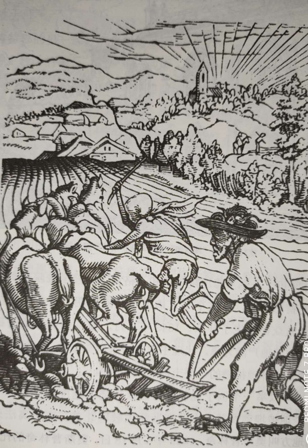 疯牛病源自英国:因英国人要将食草动物变成食肉动物所致