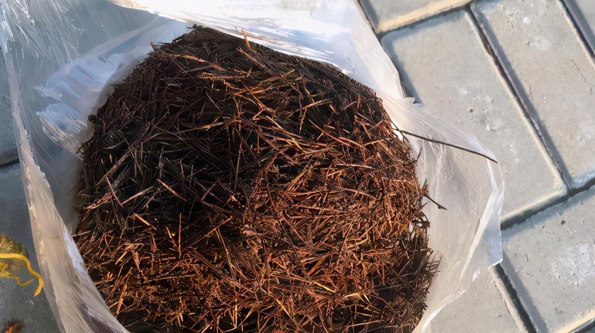 不想植物黄叶烂根 不乐意常换盆土 就别单独用有几样土壤