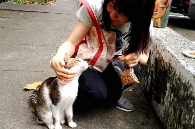 小猫三兄妹相中人类女孩，早晚组队拦截，结果一家猫全都被收养！休闲区蓝鸢梦想 - Www.slyday.coM
