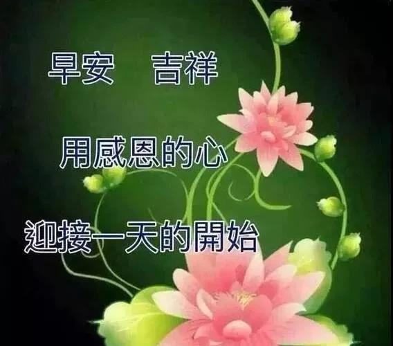 缘分万千,不如陪伴身边;情话千篇,不如珍惜眼前,早安